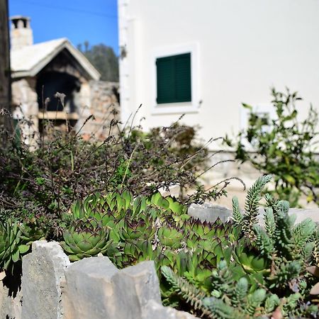 Apartment Ivica Mali Drvenik Εξωτερικό φωτογραφία