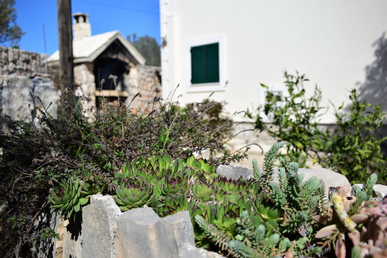 Apartment Ivica Mali Drvenik Εξωτερικό φωτογραφία